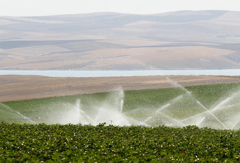  Ceylanpinar Gravity Irrigation Project